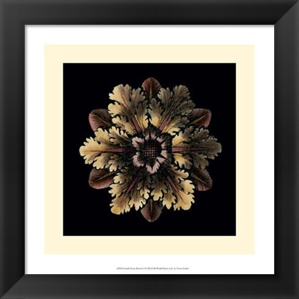 Framed Small Classic Rosette I Print