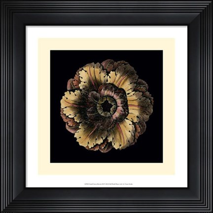 Framed Small Classic Rosette III Print