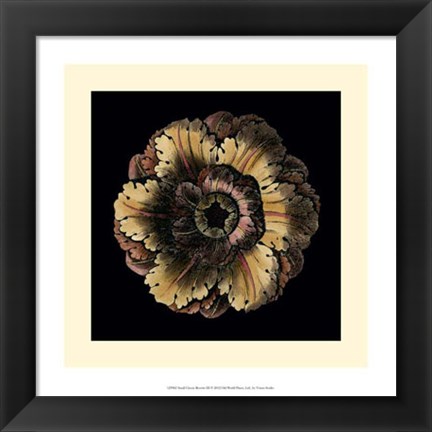 Framed Small Classic Rosette III Print