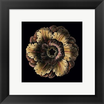 Framed Small Classic Rosette III Print