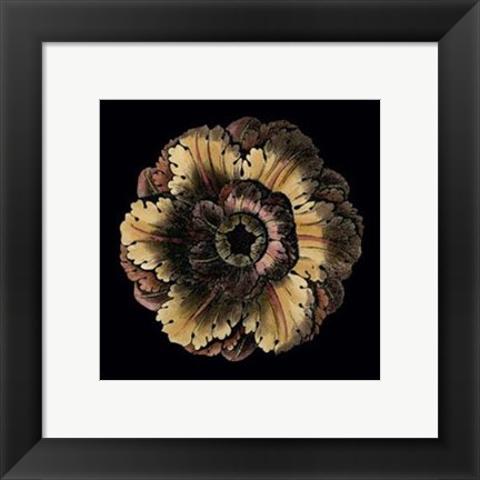 Framed Small Classic Rosette III Print