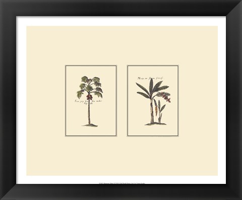 Framed Miniature Palm I Print