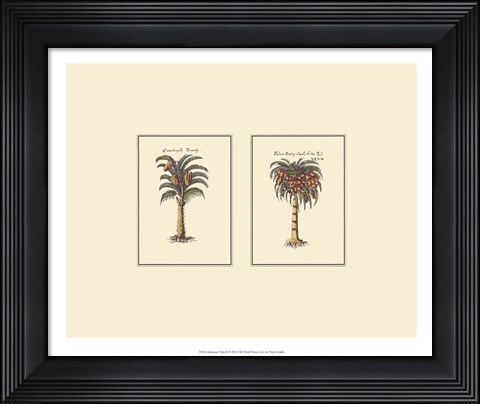 Framed Miniature Palm II Print