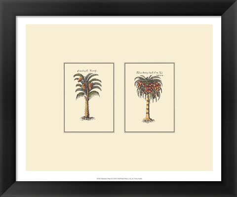 Framed Miniature Palm II Print