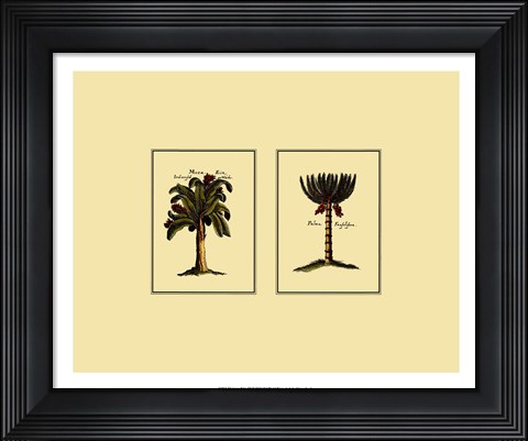 Framed Miniature Palm III Print