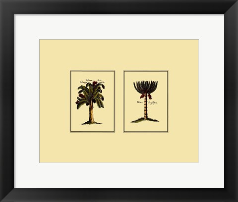 Framed Miniature Palm III Print