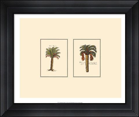 Framed Miniature Palm IV Print
