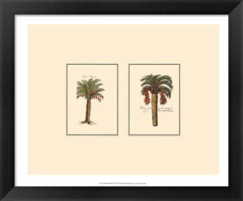 Framed Miniature Palm IV Print