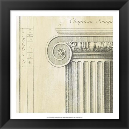 Framed Decorative Elegance II Print