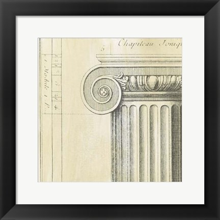 Framed Decorative Elegance II Print