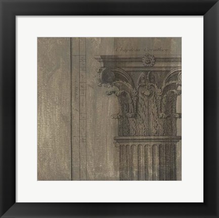 Framed Decorative Elegance VIII Print