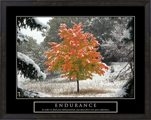 Framed Endurance - Fall Tree Print