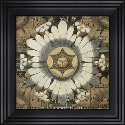 Framed Rosette Detail V Print