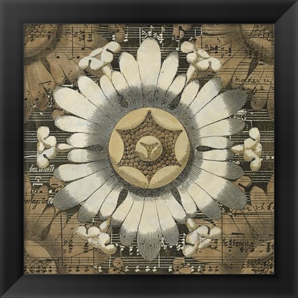 Framed Rosette Detail V Print