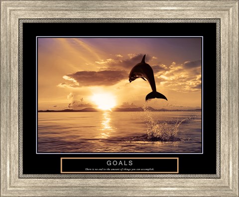 Framed Goals - Dolphins Print