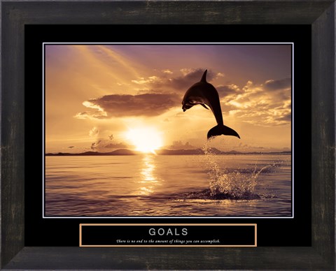 Framed Goals - Dolphins Print