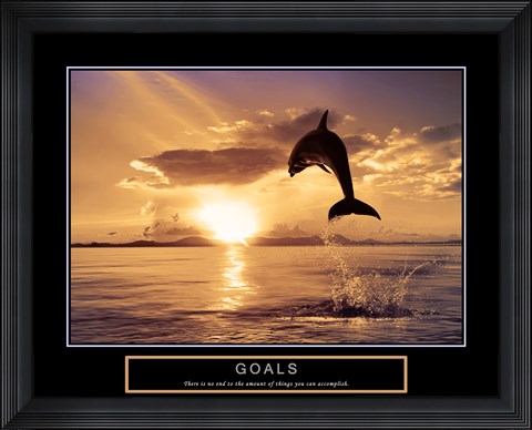 Framed Goals - Dolphins Print