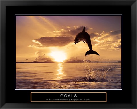 Framed Goals - Dolphins Print