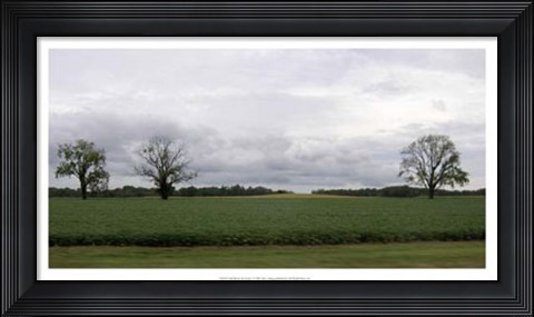 Framed Calm Before The Storm I Print