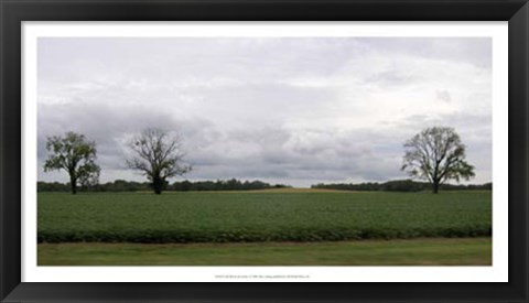 Framed Calm Before The Storm I Print