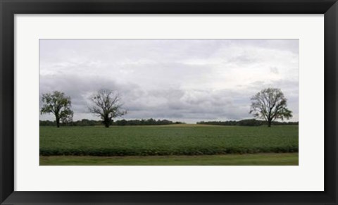 Framed Calm Before The Storm I Print