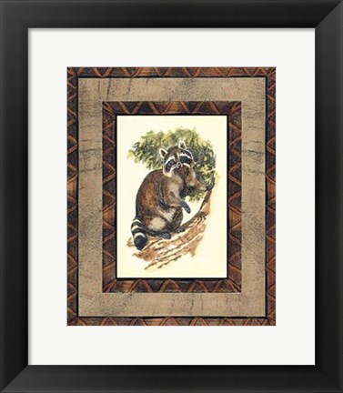 Framed Rustic Raccoon Print