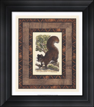 Framed Rustic Squirrel Print