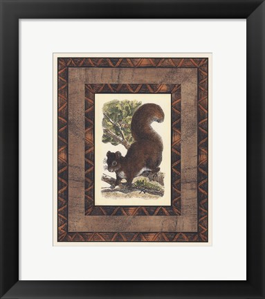 Framed Rustic Squirrel Print