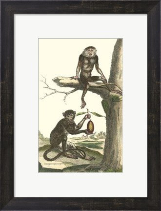 Framed Macaque and Douc Monkeys Print