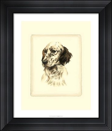 Framed Setter Print