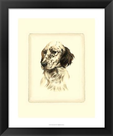 Framed Setter Print