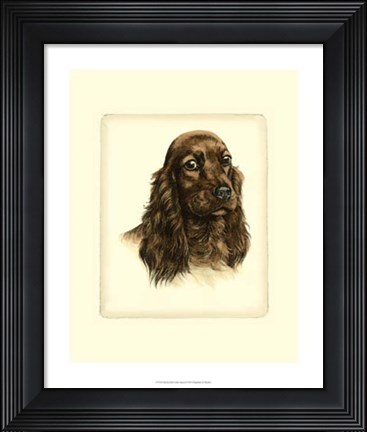 Framed Red Cocker Spaniel Print