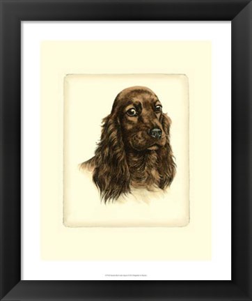 Framed Red Cocker Spaniel Print