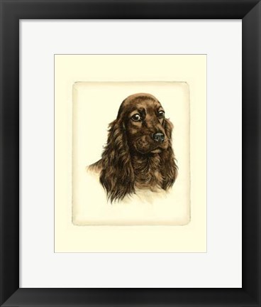 Framed Red Cocker Spaniel Print