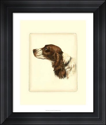 Framed Cocker Spaniel Print