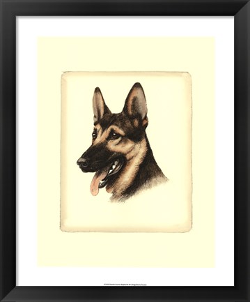 Framed German Shepard Print