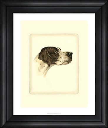 Framed Pointer Print