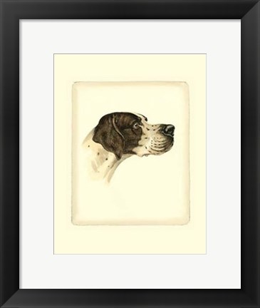 Framed Pointer Print