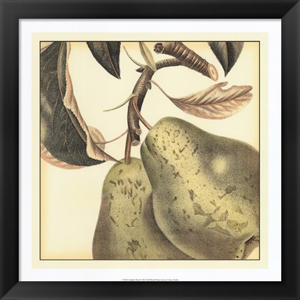 Framed Graphic Pear Print