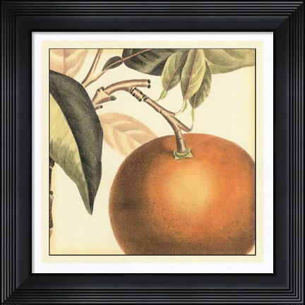 Framed Graphic Orange Print