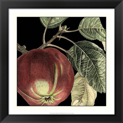 Framed Dramatic Apple Print