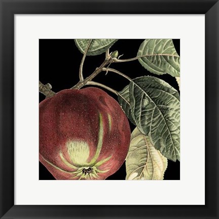 Framed Dramatic Apple Print