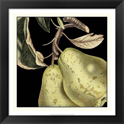 Framed Dramatic Pear Print