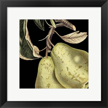 Framed Dramatic Pear Print