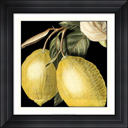 Framed Dramatic Lemon Print