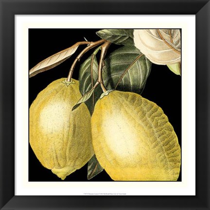 Framed Dramatic Lemon Print