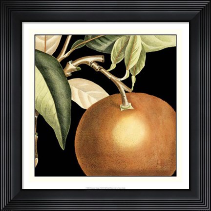 Framed Dramatic Orange Print