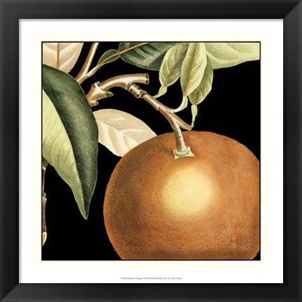 Framed Dramatic Orange Print