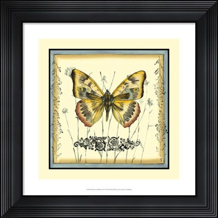 Framed Butterfly and Wildflowers IV Print