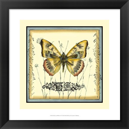 Framed Butterfly and Wildflowers IV Print